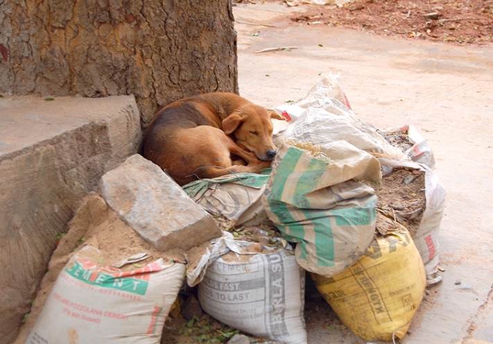 Bangalore_Indien_16-210620110059