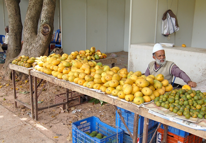Bangalore_Indien_16-210620110278-Kopie