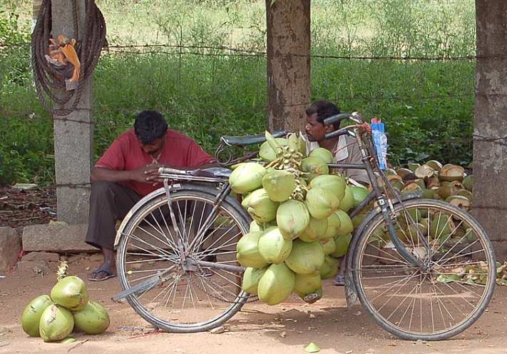 Bangalore_Indien_L