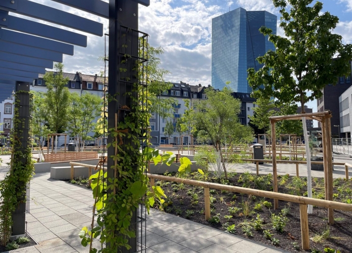 Frankfurt_Paul-Arnsberg-Platz_Pergula-berankt-Westseite-Blick-Staudenbeete-scaled-e1718303590951