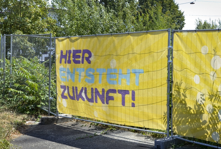 Immergrün_21-e1730056766603