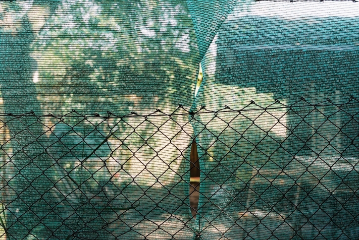 F1000031