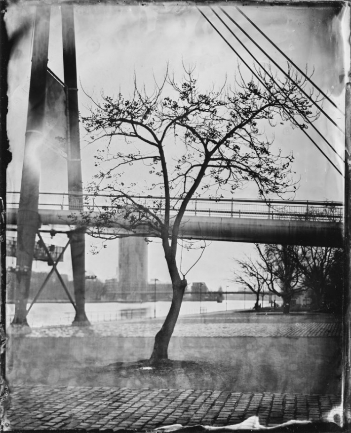 ffm-collodion_26032020-3-e1601904536537